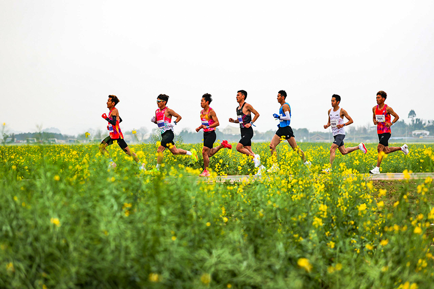 跑者在花海中奔跑。主办方供图