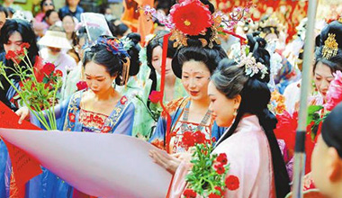 踏青金殿 花好景新