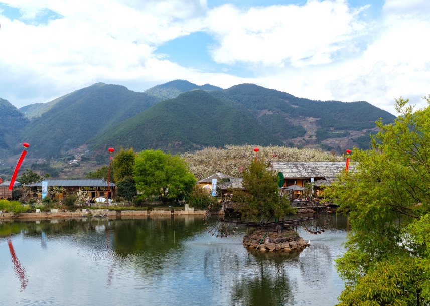 天池村梨花風光。雲龍縣委宣傳部供圖