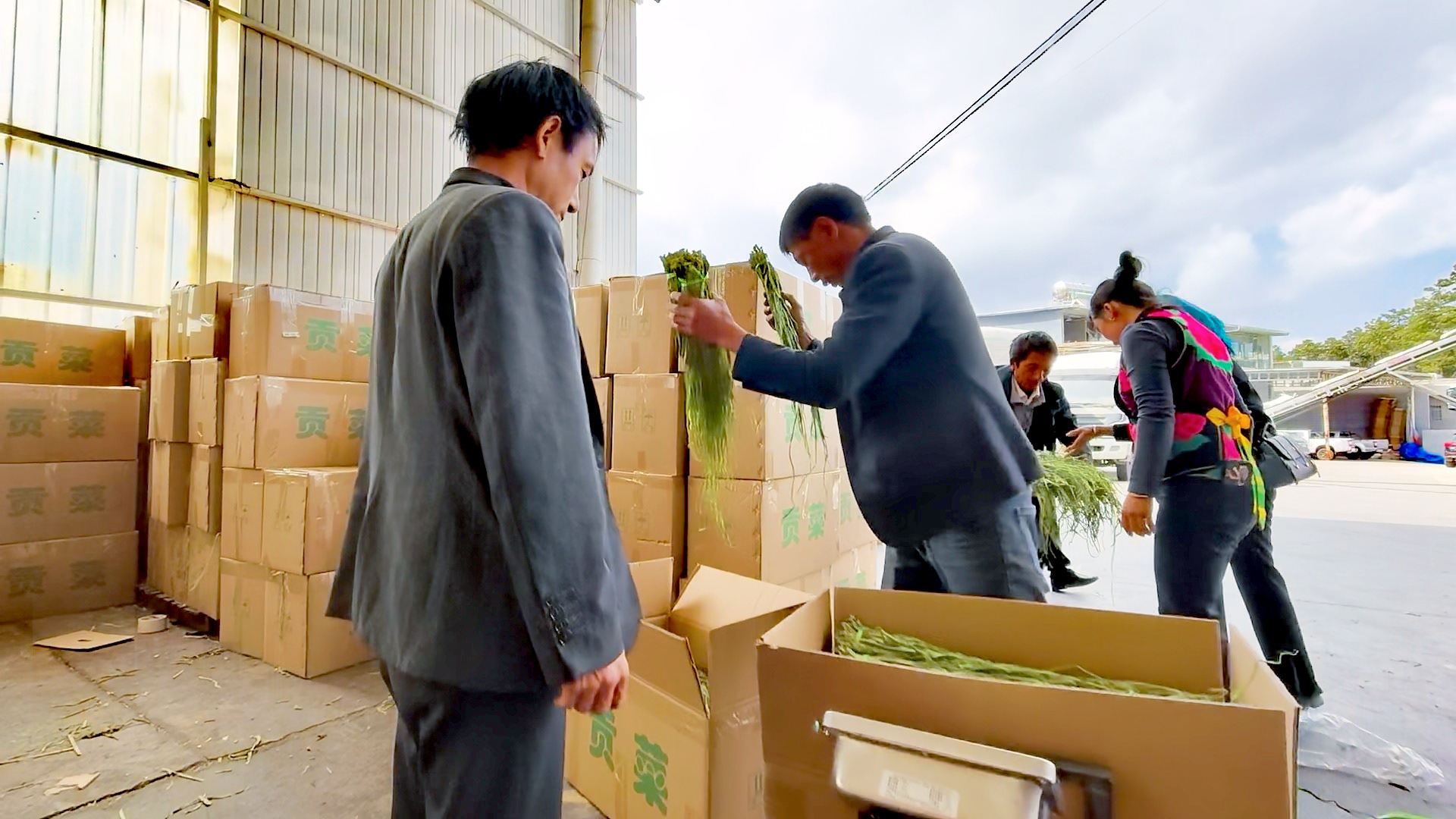 农户正在交易贡菜。南华县委宣传部供图