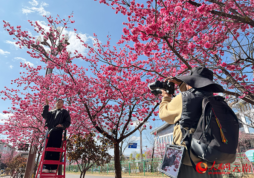 游客正在拍照。和儉攝
