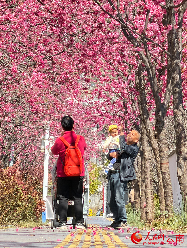 樂享春光。和儉攝