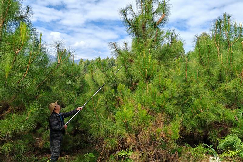 優樹選擇。舒成偉攝