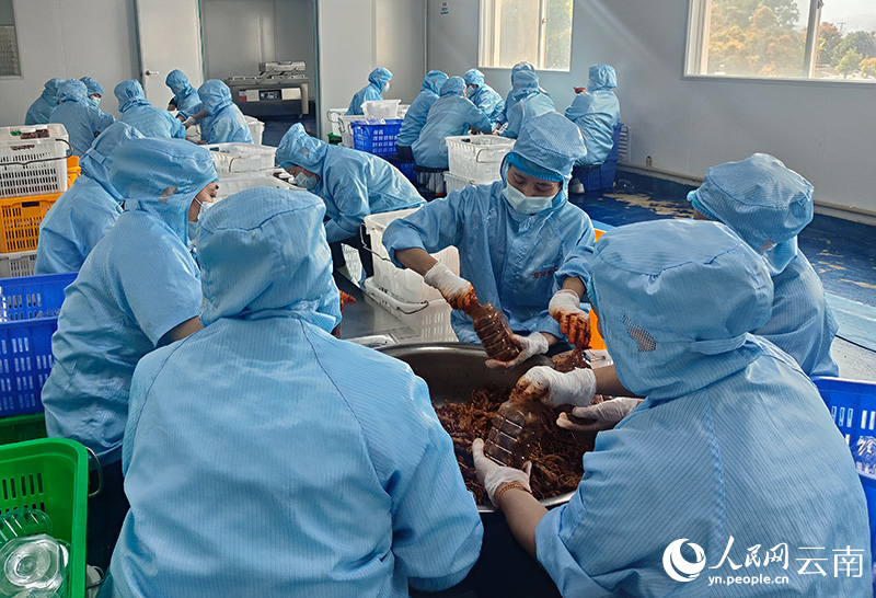 工人正在包裝佤味雞腳。周雯攝-(1)