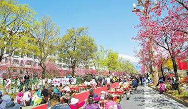 納西族群眾歡度“三多節”