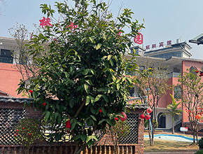 一汪溫泉，一座庄園