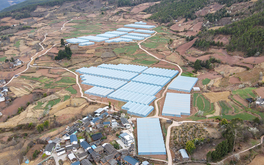 1中和村建设的蔬菜大棚。人民网记者 符皓摄