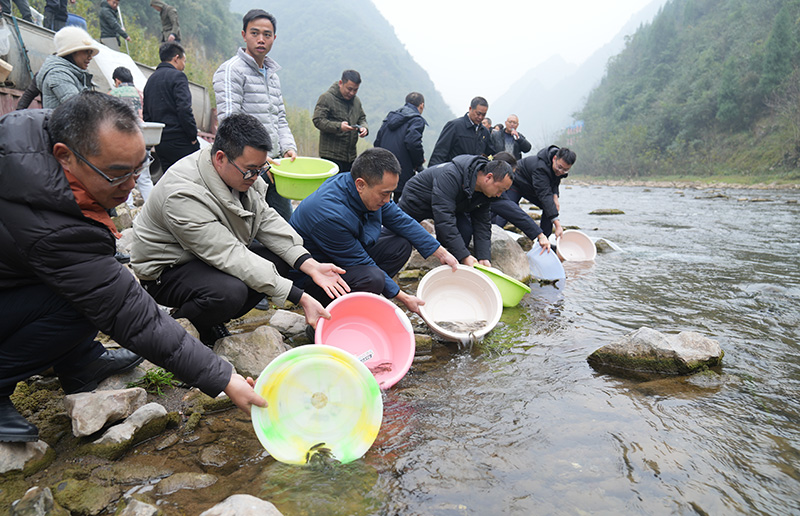 工作人员在倒流水河边放流鱼苗。