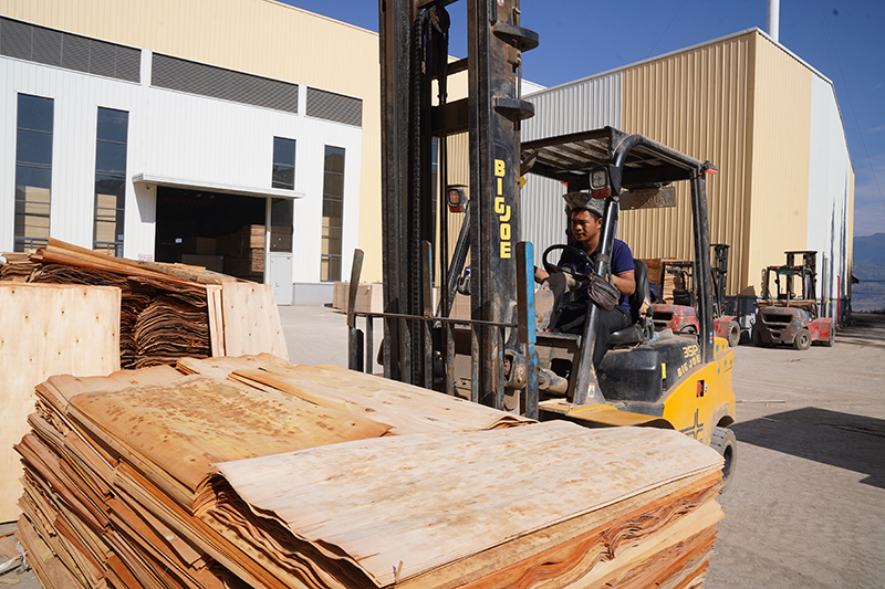 木材加工。李毅摄