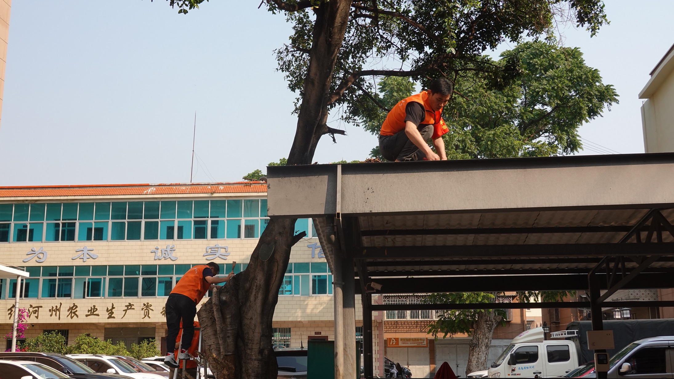 耿四永在停车棚顶清理浮土 邱美华摄2026年3月27日