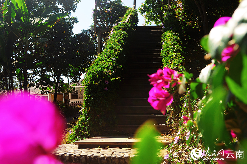 【1】春日暖陽下，位於雲南滄源的佤族村寨花團錦簇。人民網記者-劉怡-攝