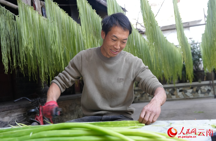 漾江镇桑不老村村民在给贡菜划条。人民网记者 虎遵会摄