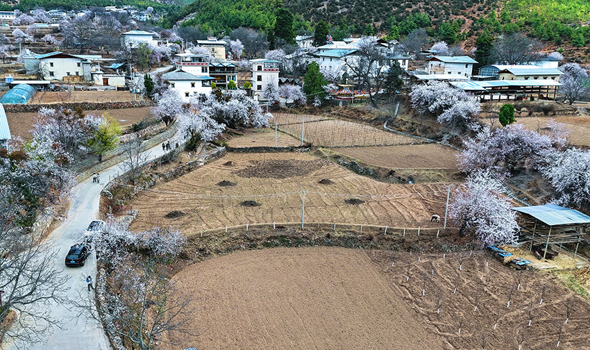 春到尼西，风景如画。李竞若摄