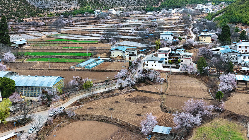 春到尼西，风景如画。李竞若摄