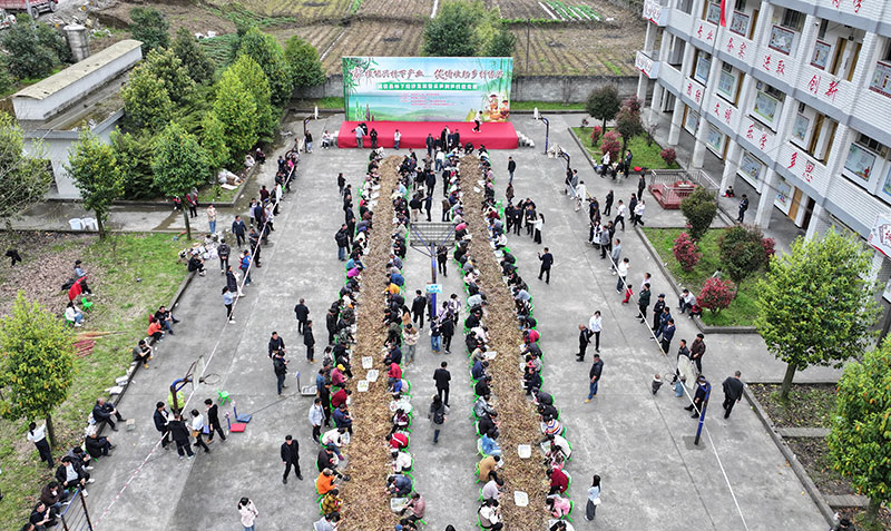 4月3日,150人参与剥笋。