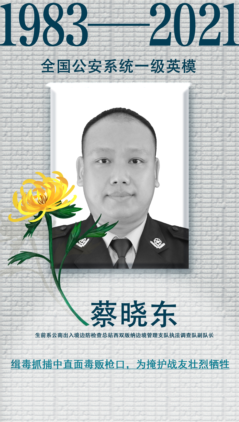 他们的样子怎么和以前一样没变【8】