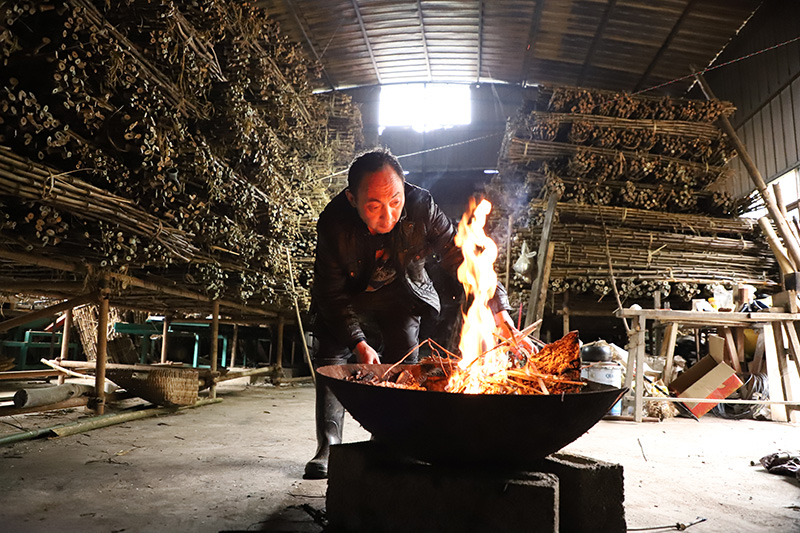 源丰种养殖农民专业合作社理事长刘厚元熏制竹材（2026年4月3日何桂花拍摄）-(3)