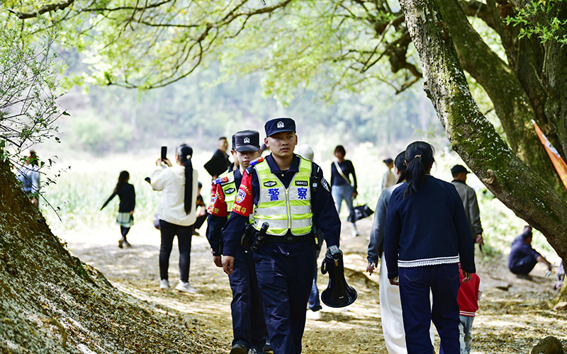 師宗縣公安局竹基派出所用“藏藍力量”守護“限定版”春日美景。師宗公安供圖