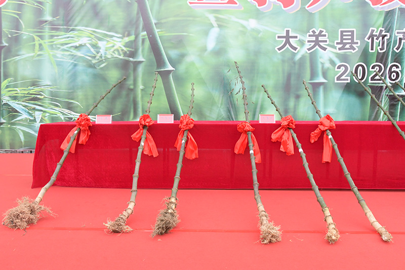 云南大关“竹王”“笋王”的争霸赛活动现场。大关县融媒体中心供图