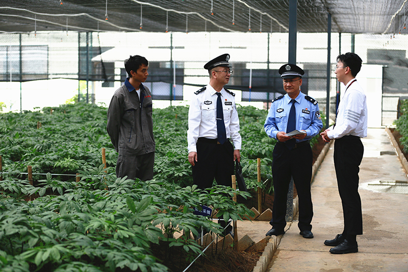 文山州公安局经侦支队民警到三七企业开展日常走访。