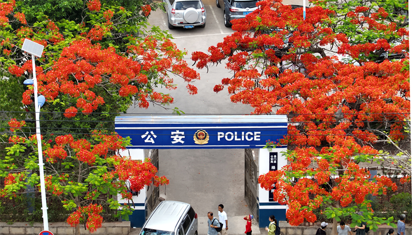 綠汁派出所。玉溪市公安局供圖