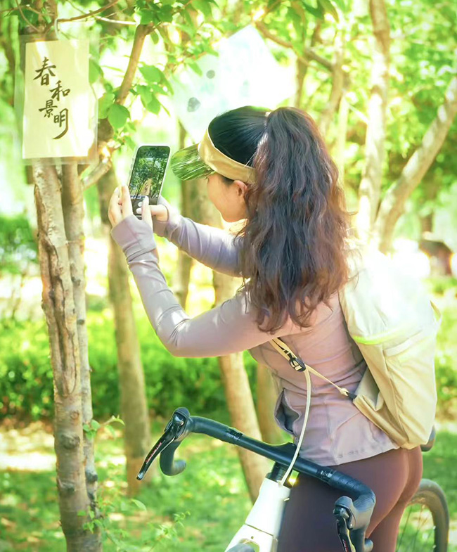 騎行路過的市民被獨特的“樹上畫展”吸引，舉機拍照留念。虎良華攝