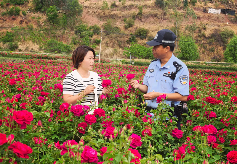 姚安县公安局光禄派出所民警在东方玫瑰谷景区开展走访服务工作。