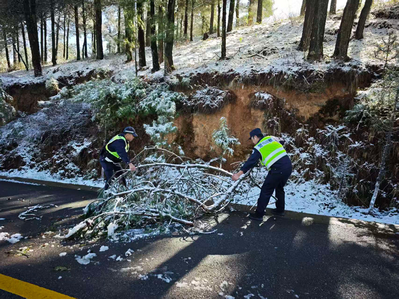 大海派出所民辅警在辖区重点路段清理树木断枝。会泽县公安局供图