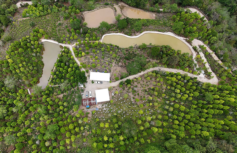 庄園全景。陸雨堂攝