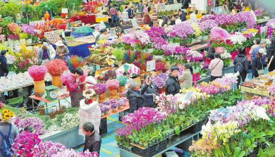 云南斗南鲜切花市场发布4月销售榜单