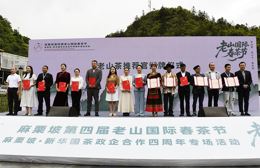 麻栗坡第四届老山春茶节活动现场，为老山茶推荐官授牌。麻栗坡县融媒体中心供图