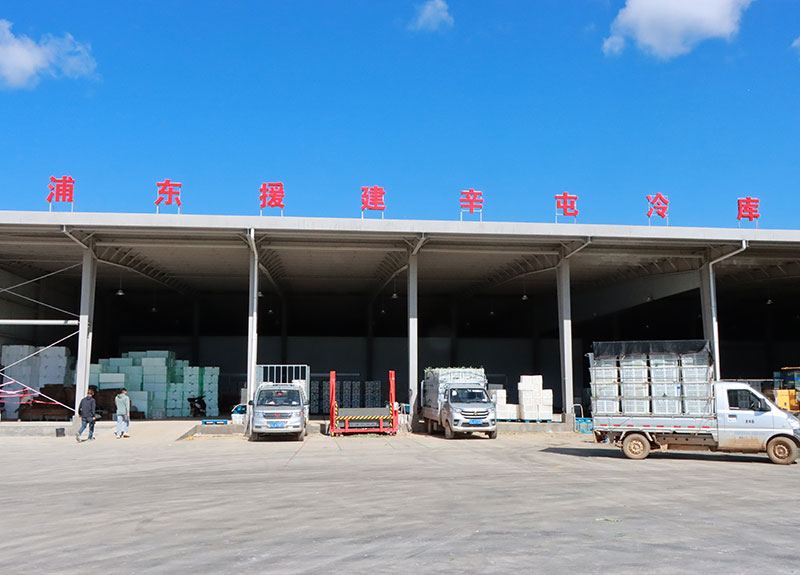浦东援建辛屯冷库。