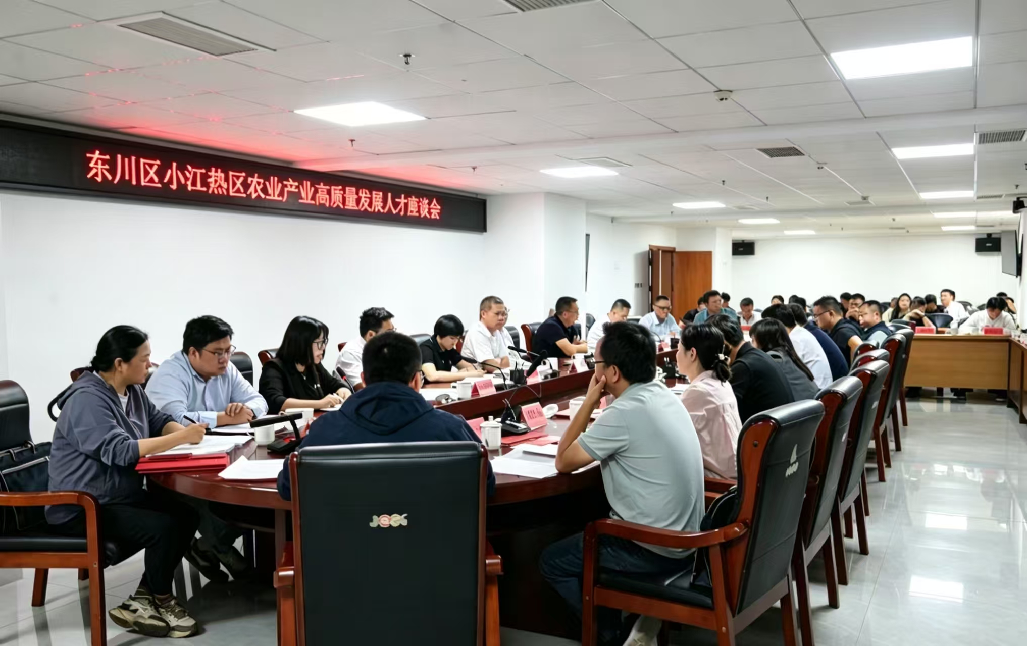 东川区小江热区农业产业高质量发展人才座谈会会场