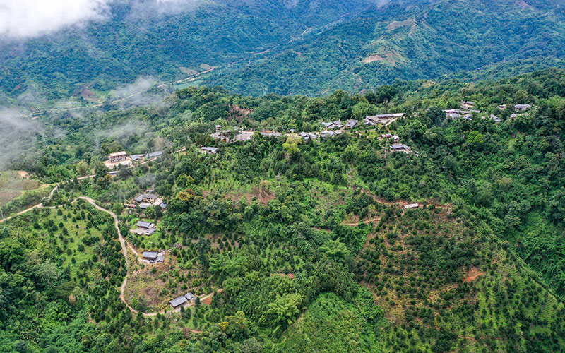 石梯村。尹以沛摄
