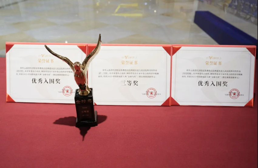 获奖作品。图片来源：“红河政法”微信公众号