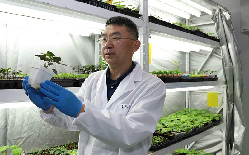 云南省“最美科技工作者”邓明华。云南省科技厅供图