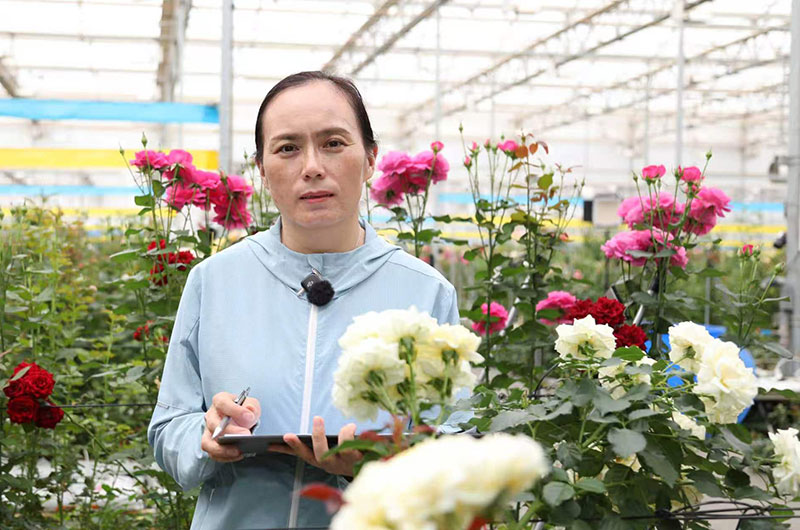 云南省“最美科技工作者”蔡艳飞。云南省科技厅供图