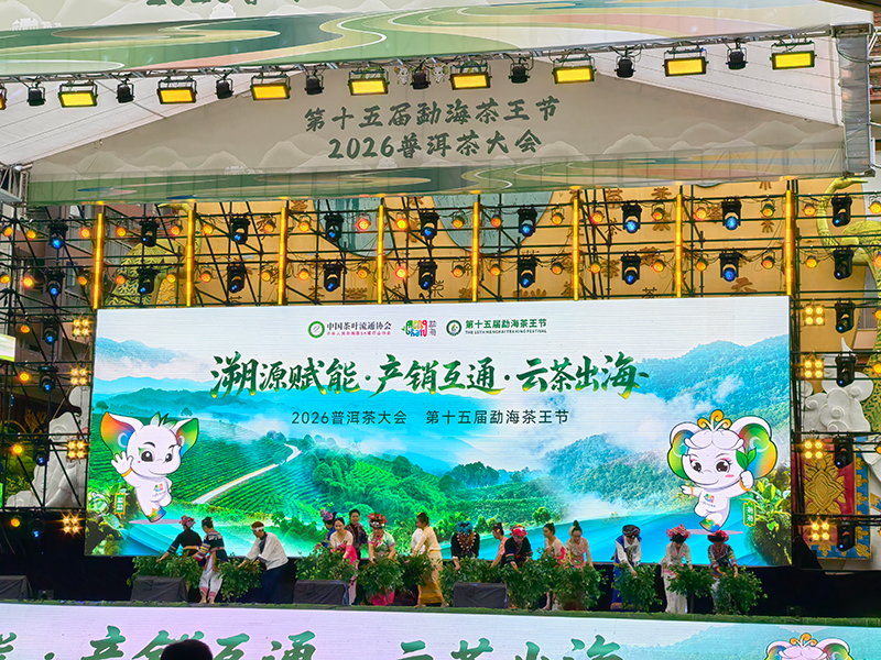 活动现场-(1)