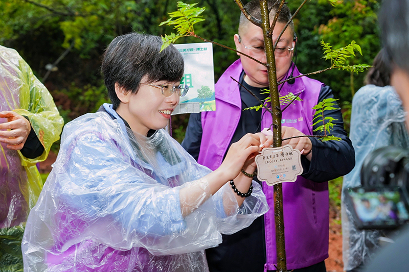 博士為樹苗上挂上專屬樹牌。盤龍區融媒體中心供圖