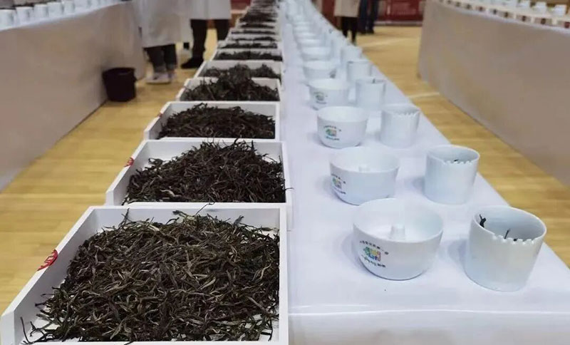 勐海茶。