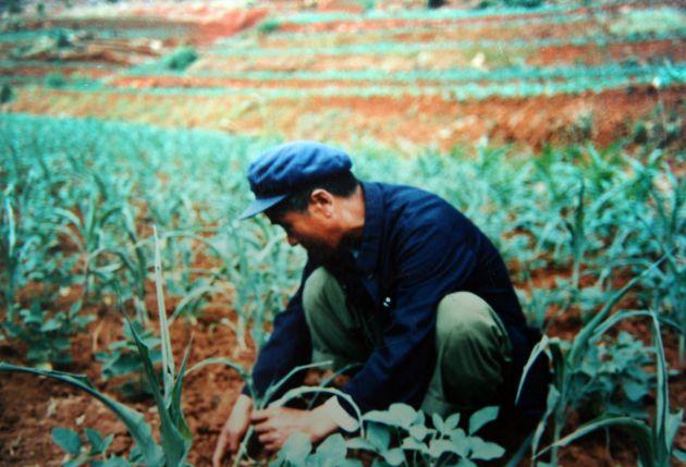 70年代杨善洲乡下调研。