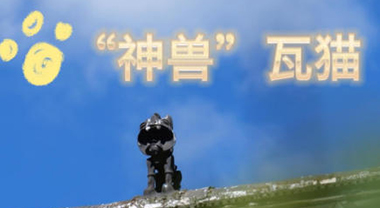 云南“神兽”瓦猫融入“新生活”
