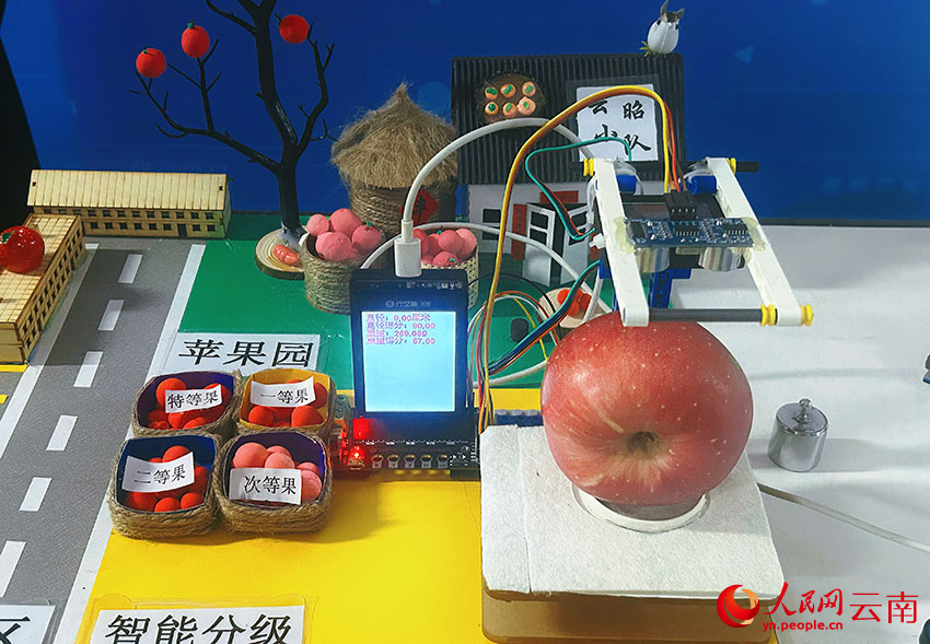 【2】三个来自果农家庭的青少年研发的多特征融合的苹果智能分级系统。人民网记者刘怡-摄