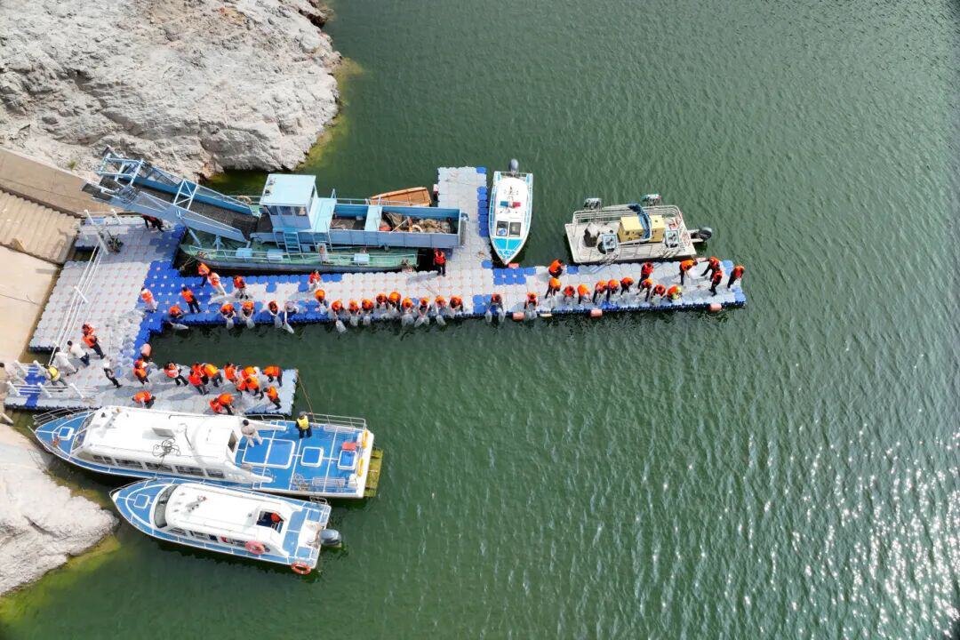 魚類增殖放流