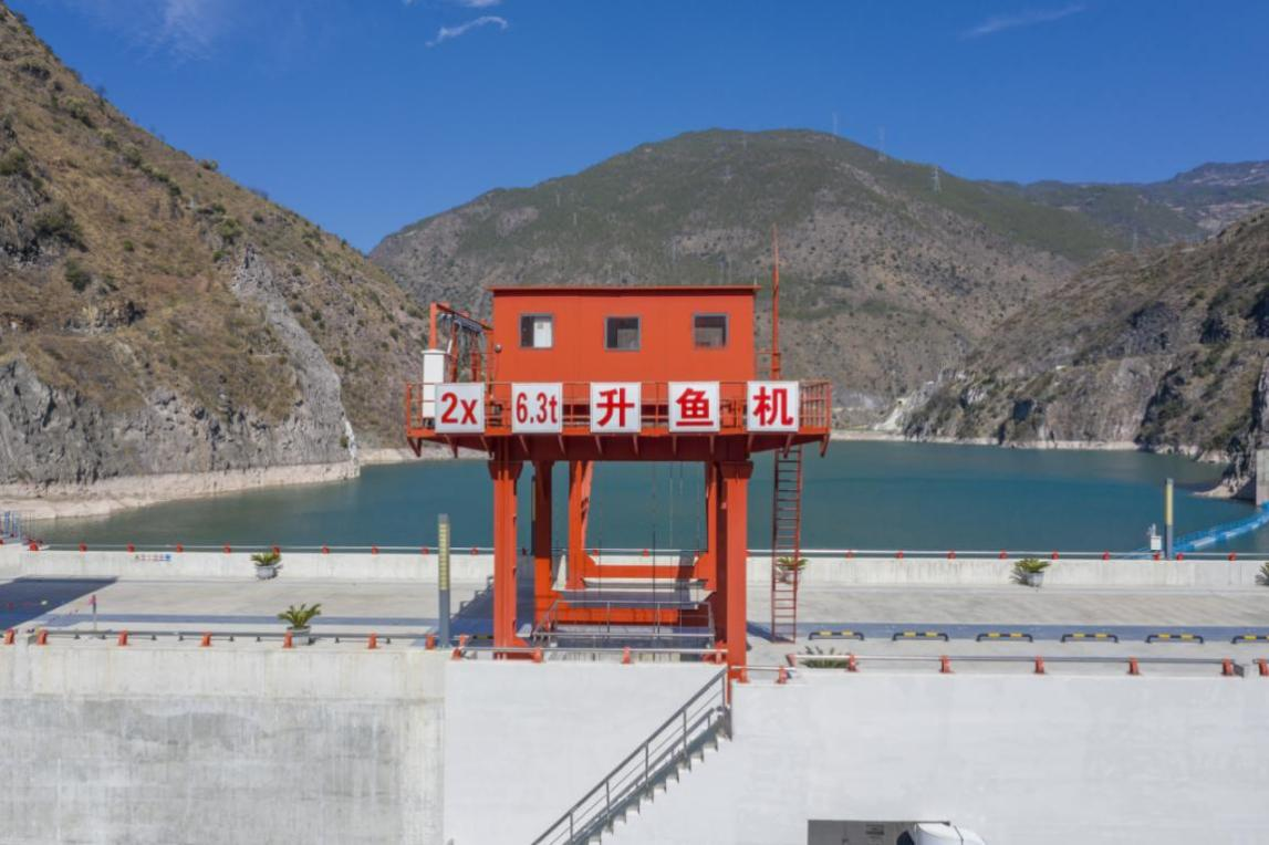 黄登升鱼机