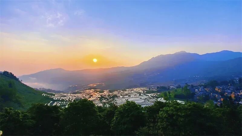 红河元阳梯田（图片来源于网络）