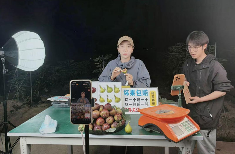 東川區聯農帶農電商達人在田間地頭直播銷售無花果。李金攝