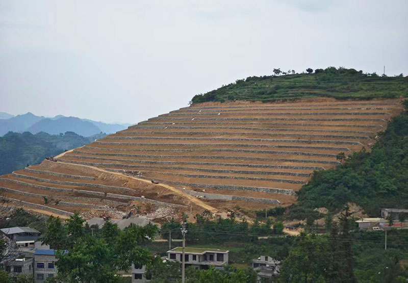 花朗乡仓上村高标准农田一角。