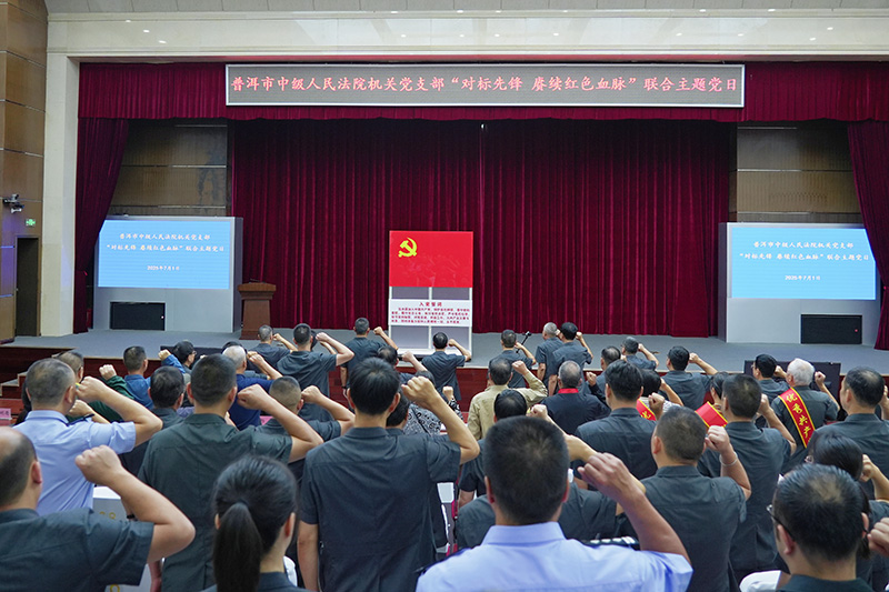 普洱市中级人民法院举行“对标先锋·赓续红色血脉”主题党日活动。