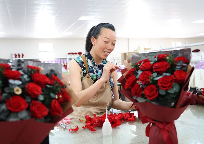 石林板桥的花艺师唐美丽正在为永生玫瑰“美容”